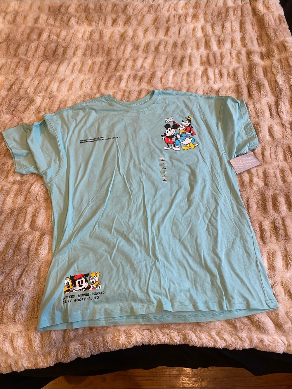 Disneyland Character Graphic Tee - Mickey & Friends
